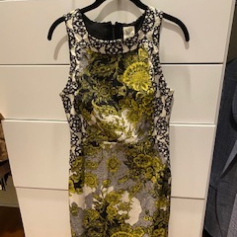 Anthropolgy dress